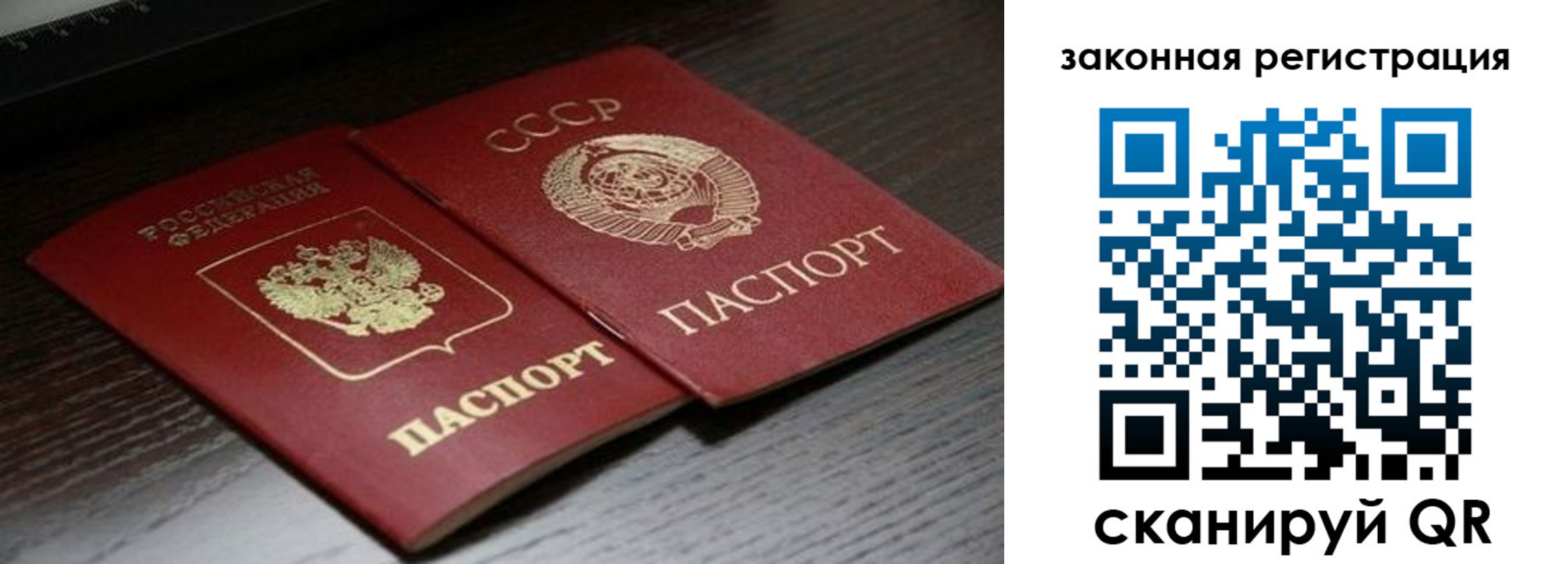 прописка поиск в Дальнегорске